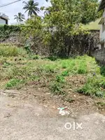 6cent square plot near st thomas school mukkola