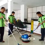 Office Boy at Mahape, Navi Mumbai