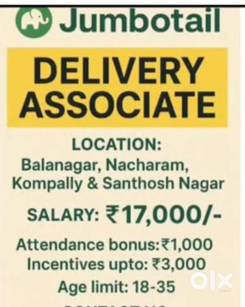 Van Delivery Excentive