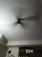 Fan orient