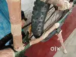Fat Bike 2024
