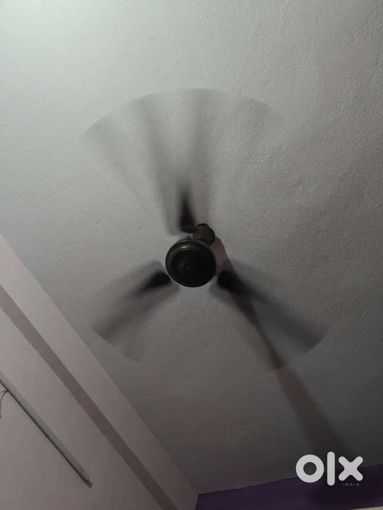 Ceiling fan