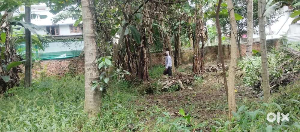 3 cent plot for sale in Marathurkadavu,TVM