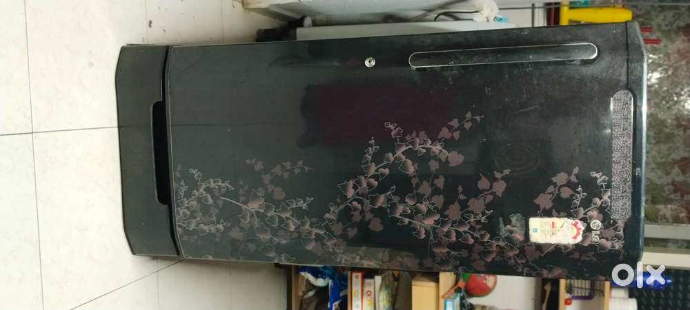 L.G. Fridge, model year 2013, 215 Liters