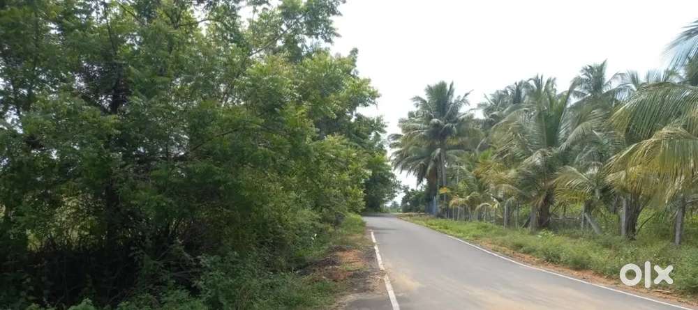 விவசாயம் பூமி AGRICULTURAL LAND FOR SALE IN NEAR SIVAGIRI