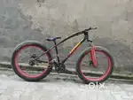 Fat bike a