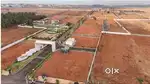 1cent Stop Dreaming - Start Living For Your Plots