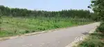 agricultural land for sale