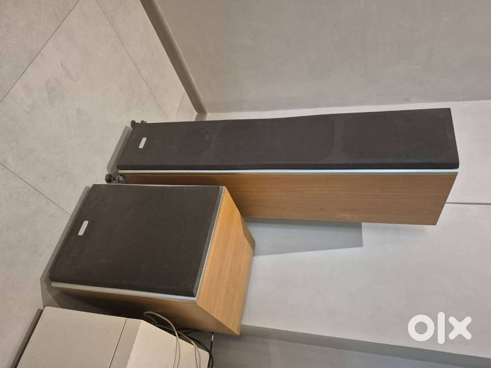 Sobodyne home theatre speaker system