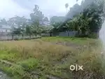 6 cent plot for sale in kakkanad near lavanya nagar near infopark