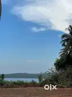 1.75 acre property in nedungolam
