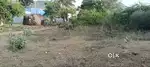 Land for house & Farm