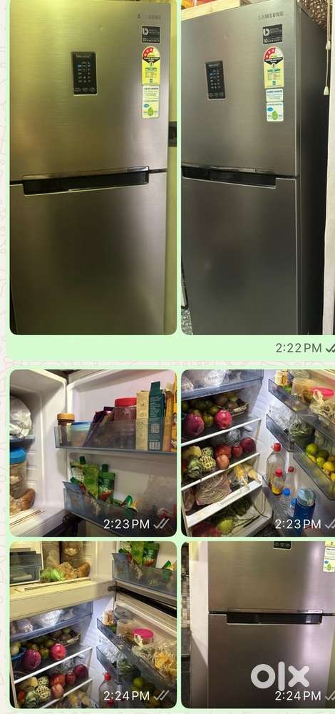 300 litter fridge double door
