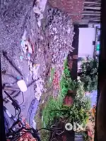 Push vihar bala wala 15 fit ki road pr