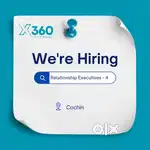 Relationship Executive