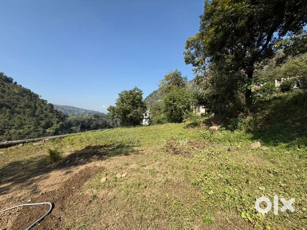 PLOT FOR SALE NEAR DAV PUBLIC SCHOOL CHAMBA