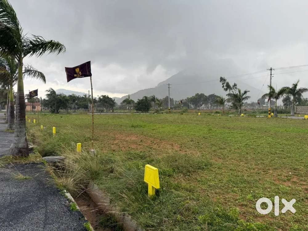 KND'S SLV NANDHI VIEW