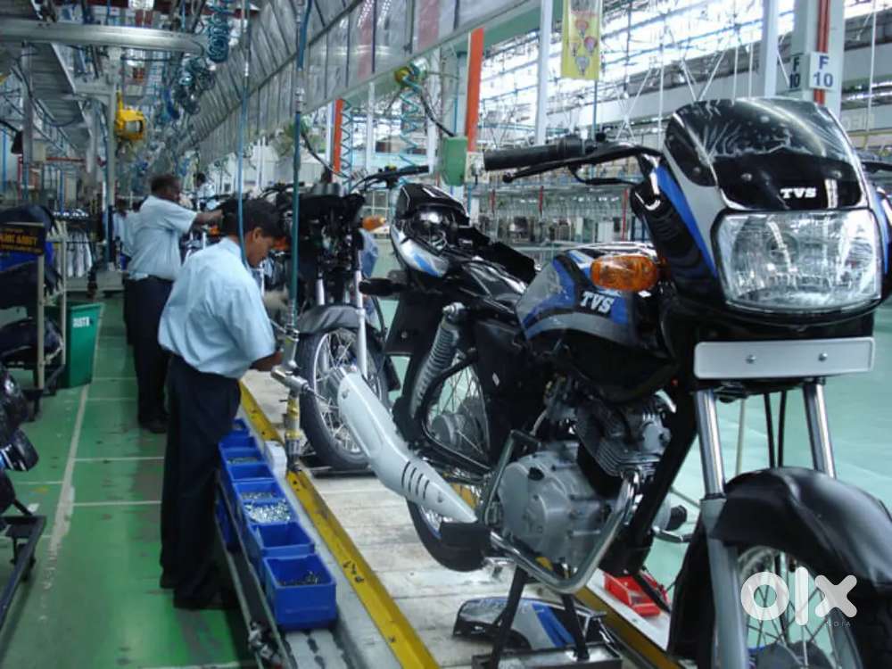 Were hiring freshers for job