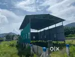 Shed dor rent