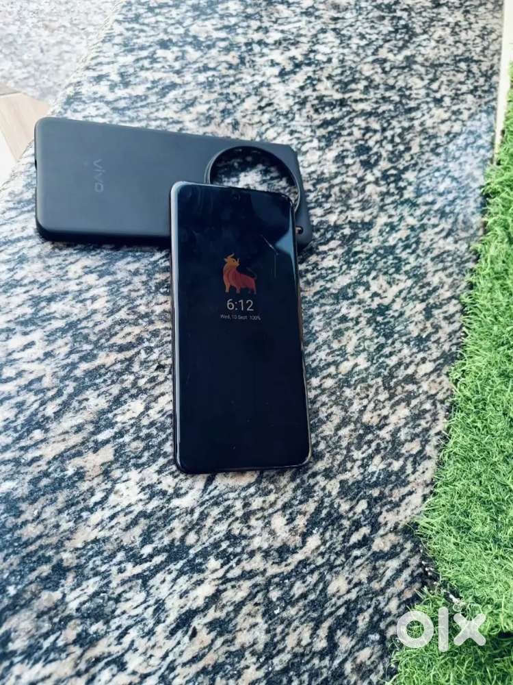 vivo x200 12+8/256