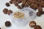 Nepal Rudraksha