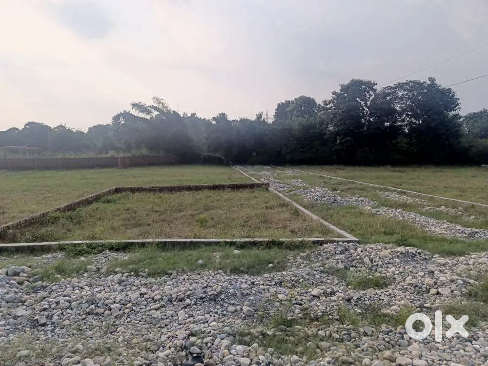 Rajawala Road 200Mtr from Chakrata Road