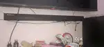 Zebronics home theatre