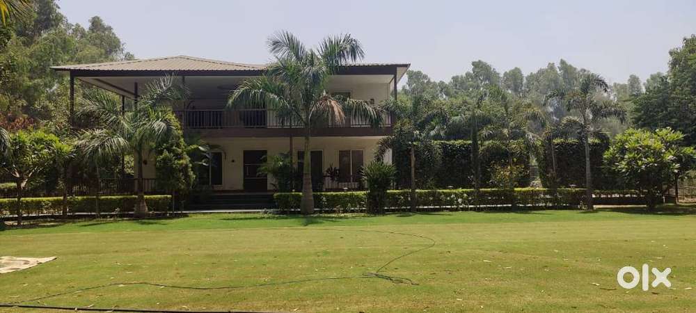 Luxurious farmhouse with registry & mutation 5BHK  Noida 135