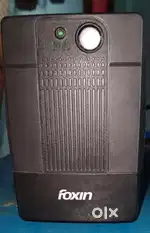 Foxin Ups for sale