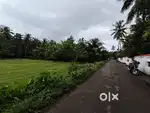 25 cents of land for sale at Pottore Thrissur