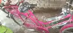 Ladies Cycle