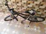 Frog bycycle