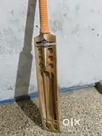 Cricket bat