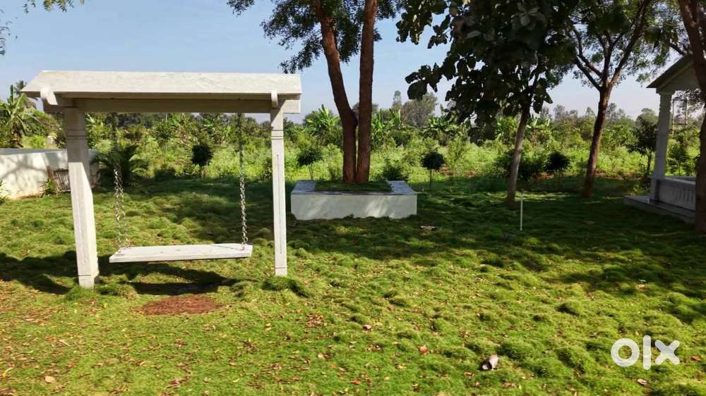 Premium Managed Farmland – High Returns + Weekend Stay