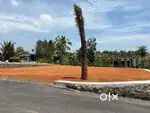 Kakkanad edachira thengod plots for sale 2.5 km from infopark