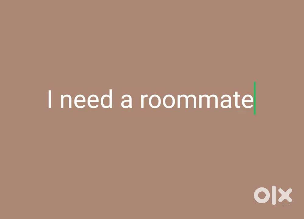 I need a roommate