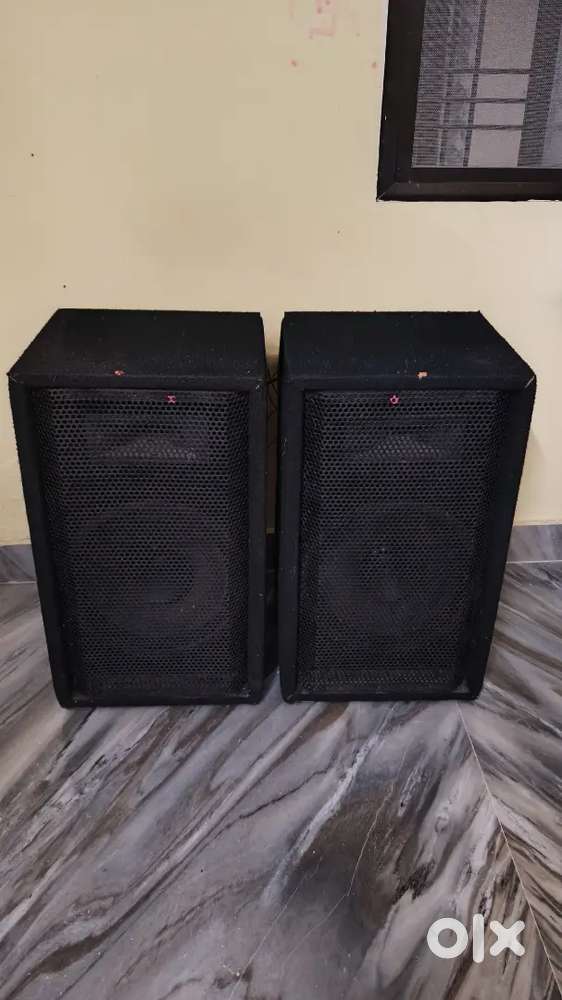 Only Speaker 12 inch double