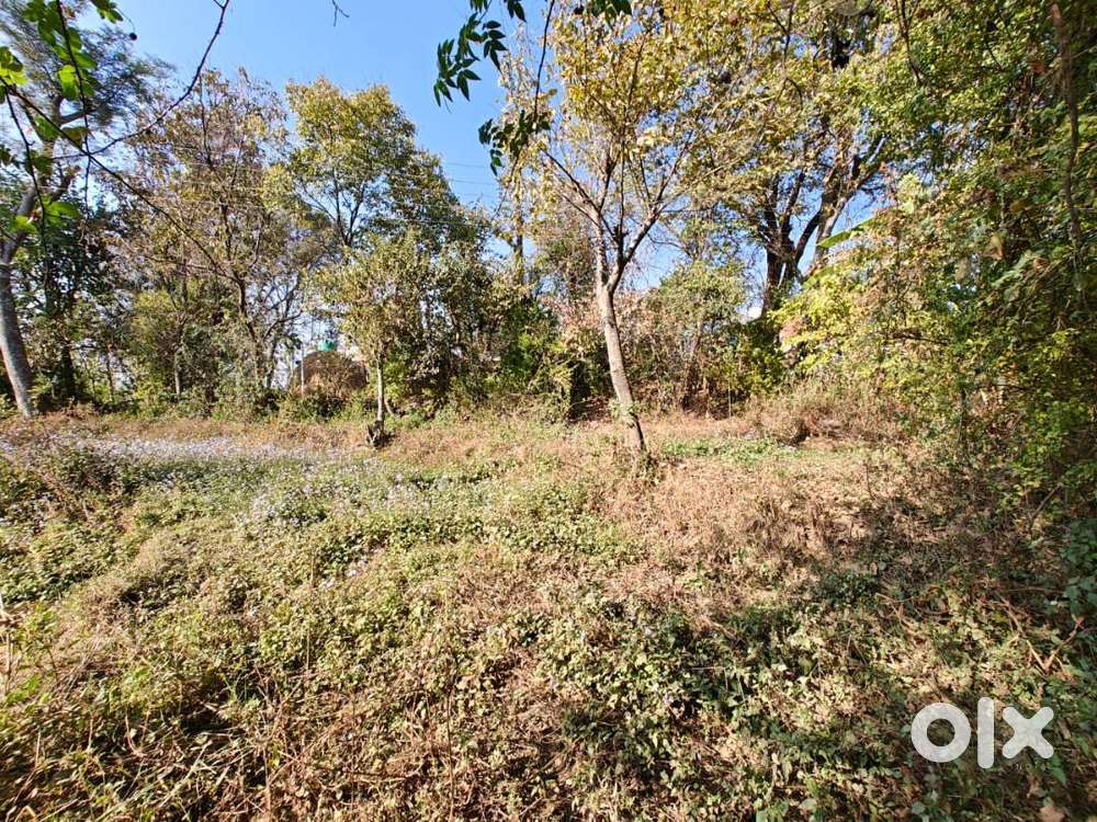 1 Kanal for Sale in Bir-Billing, Kangra, Mandi, Himachal Pradesh