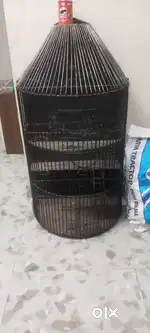 Nest for birds
