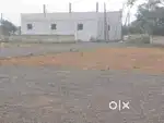Near to Paipula road Ambapuram panchaithi open plots