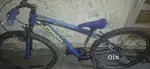 Frog cycle in excellent condition