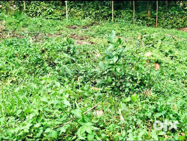 10 CENT LAND FOR SALE