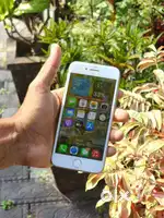 I phone 7  no complaints