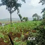 Urgent Sale ( Land )