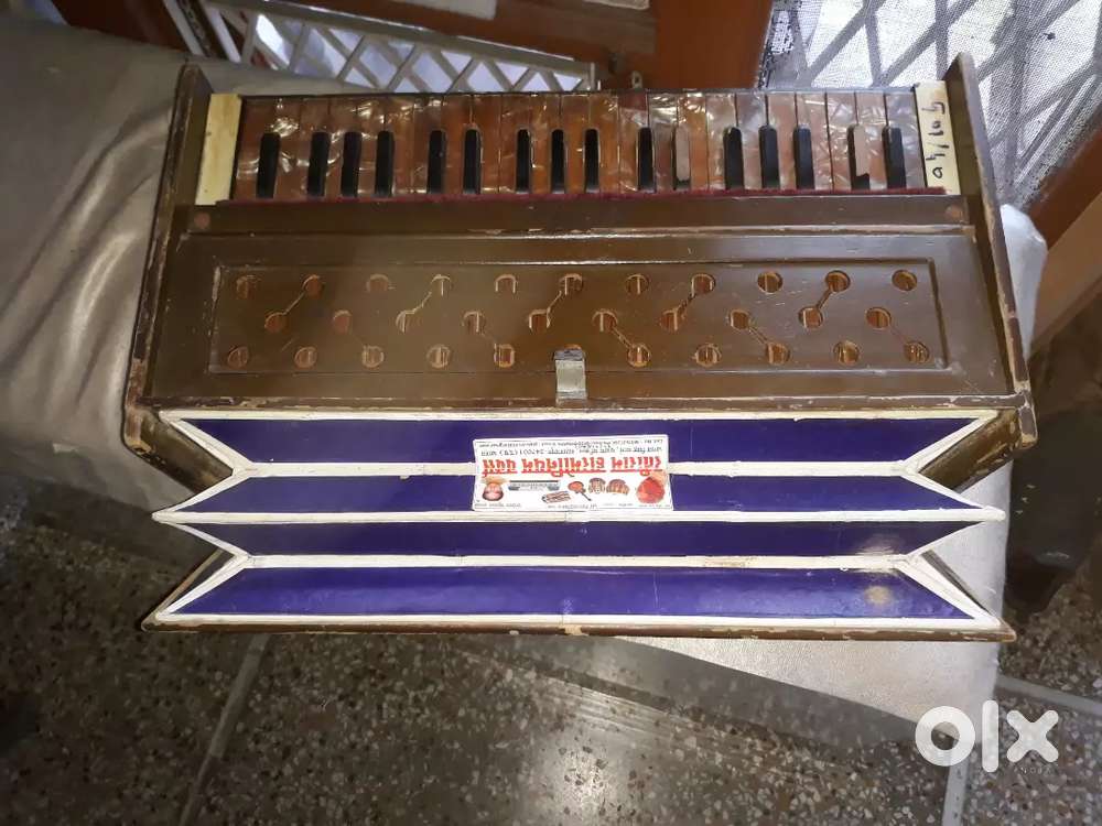 Male male Harmonium