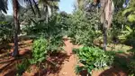The Best returns with Organic Managed Farmland