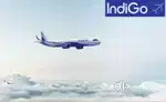 Job for Fresher Great Opportunity 2025