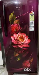 LG REF GL-B211HRWD