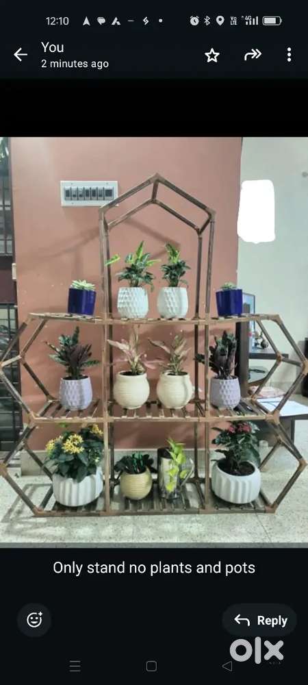 wooden stand only for indoor plants