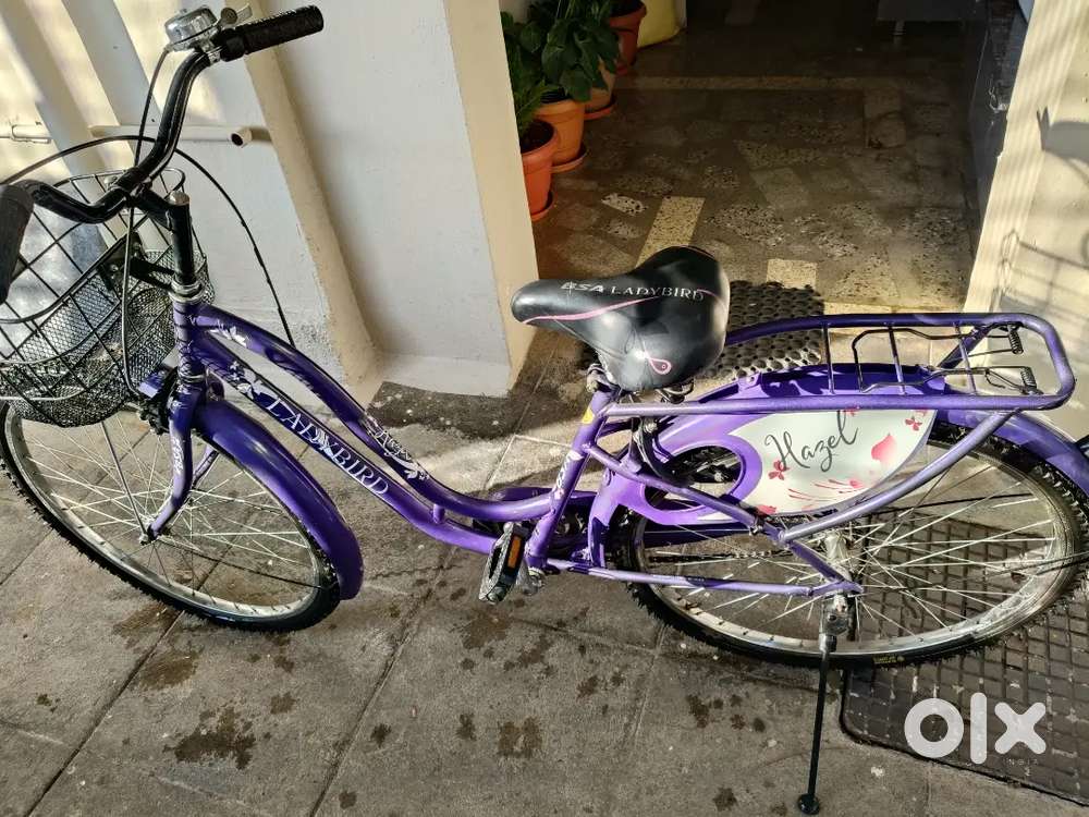 Ladybird cycle, purple colour